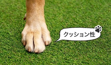 クッション性があり犬の足腰の負担が少ない