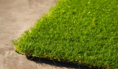 人工芝を犬が食べてしまう可能性