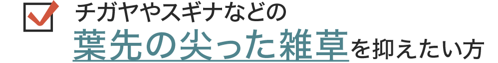 チガヤやスギナなどの葉先の尖った雑草を抑える防草シート