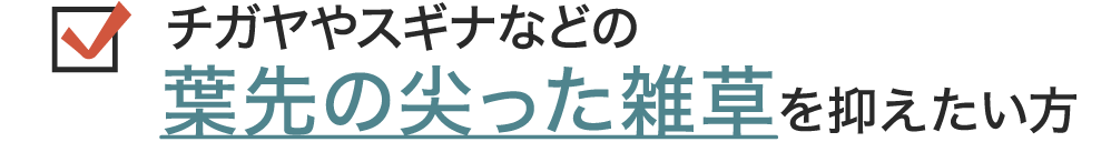 チガヤやスギナなどの葉先の尖った雑草を抑える防草シート