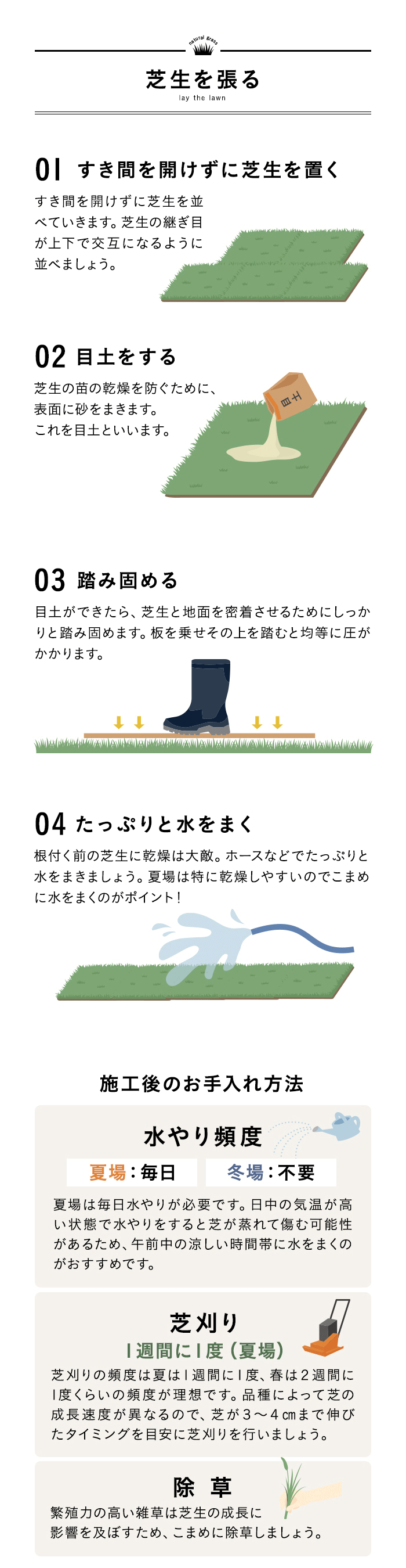 芝生 天然芝 野芝 宮崎県産 2束（2平米）入 ソッド