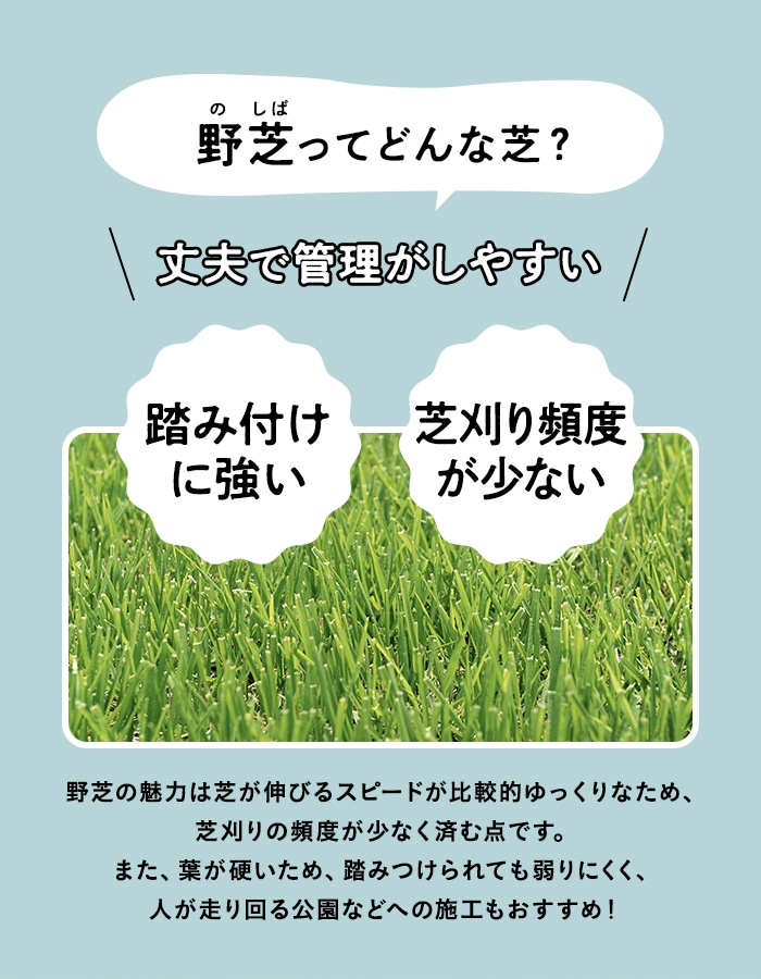 芝生 天然芝 野芝 宮崎県産 2束（2平米）入 ソッド